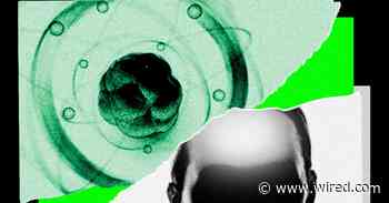 AI Came for Math. Now It’s Chasing the Rest of Science