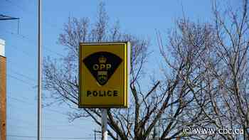 Number of dead still unclear as police continue to investigate Hwy. 401 crash near London