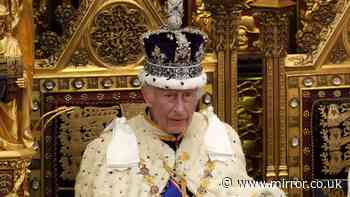'It's a bitter pill to swallow' - Truth behind King Charles' £100m taxpayer-funded grant