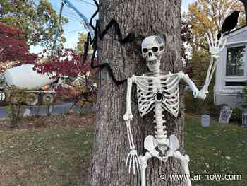 Halloween in Arlington: When to expect trick-or-treaters and upcoming events