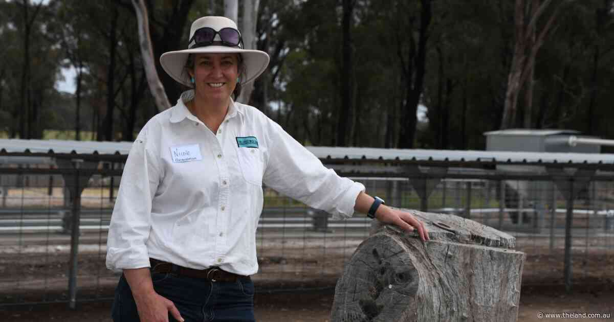 Containment feeding during pregnancy can set up flock for future generations