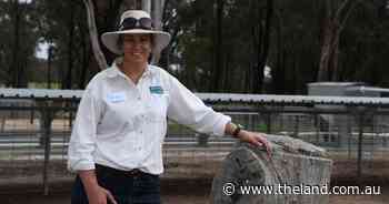 Containment feeding during pregnancy can set up flock for future generations