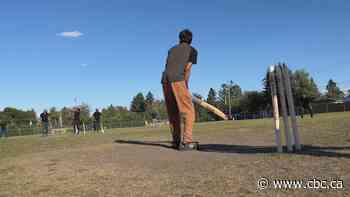 High demand for more cricket pitches, investment in soccer fields underlined in City of Calgary report