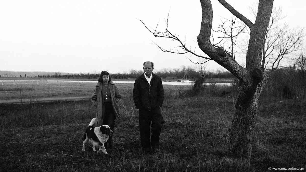 Indivisible: Lee Krasner And Jackson Pollock