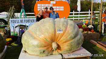 World's biggest pumpkin record beaten twice in one week with whopper the size of car