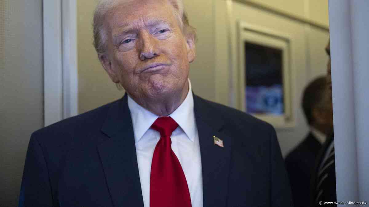 Trump's AI tiger attack video condemned for 'mocking' victim William Chapman