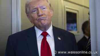 Trump's AI tiger attack video condemned for 'mocking' victim William Chapman