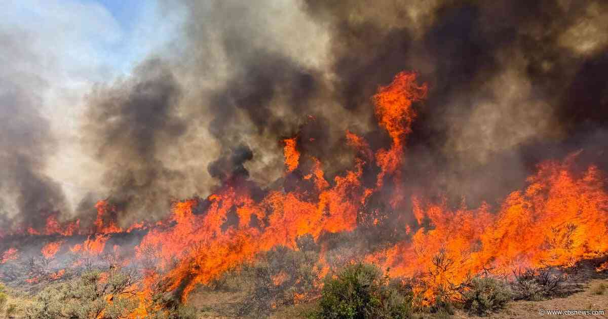 Earth's "vital signs" pushed to record extremes in 2026, report says