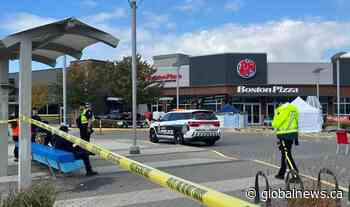 Person injured in Tsawwassen Mills crash dies from her injuries