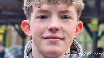 Teenager, 17, died after he was accidentally shot in the head with an air rifle by his friend at a house party as he tired to put the safety on, inquest hears