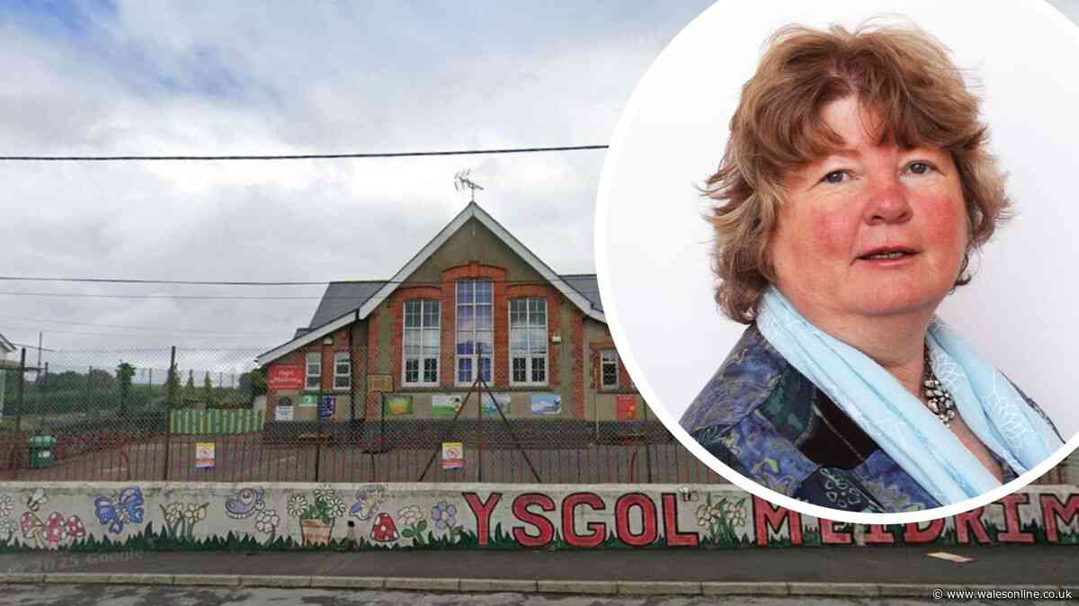 Councillors have voted on the future of two Welsh schools
