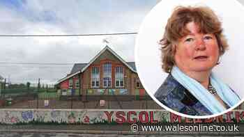 Councillors have voted on the future of two Welsh schools
