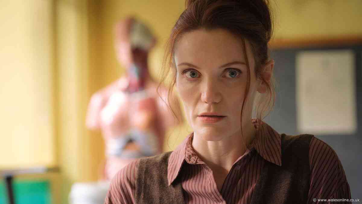 Return to Paradise fans say same the same thing as season 3 first-look drops