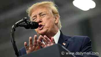 Trump's 13-point Alaska stronghold slipping away as his own voter orders president to 'shut his mouth'