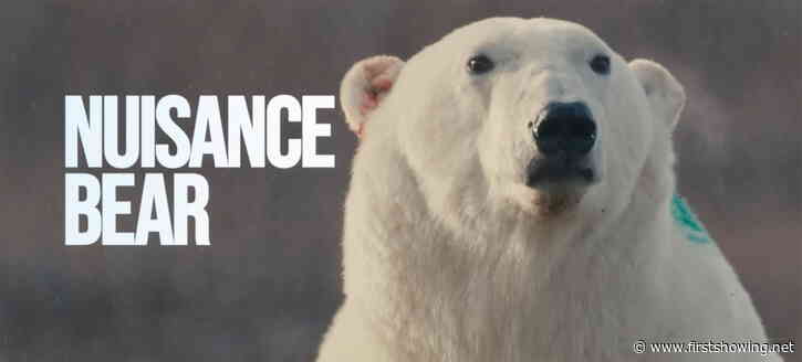 Award-Winning Polar Bear Documentary Film 'Nuisance Bear' Trailer