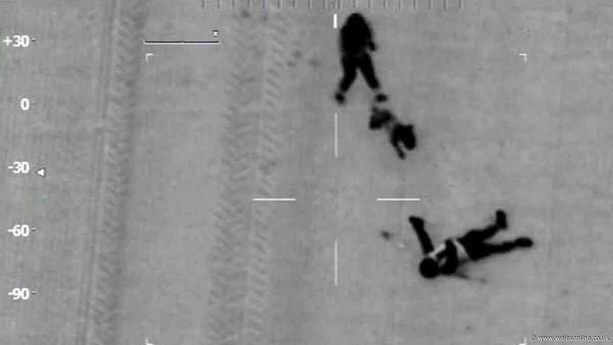 Police dog bags suspect after helicopter and ground pursuit of cloned car