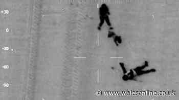 Police dog bags suspect after helicopter and ground pursuit of cloned car