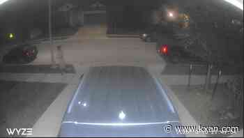 Round Rock family seeks answers after teen attacked while walking dog near home