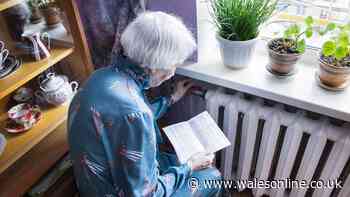DWP confirms full list of everyone eligible winter fuel payment worth up to £300