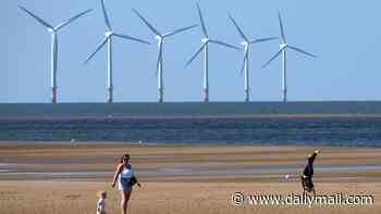 Britain is dependent on China to meet green targets, new report warns amid fears of forced labour and security risks in solar panels and wind turbines