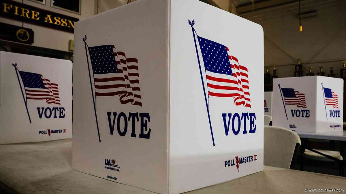 Democrats, Republicans and Trump DOJ invest in election observers ahead of Election Day