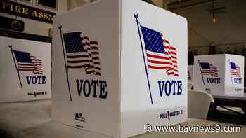 Democrats, Republicans and Trump DOJ invest in election observers ahead of Election Day