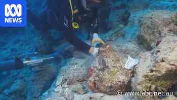 Ancient ceramics retrieved from 'world's oldest known' shipwreck