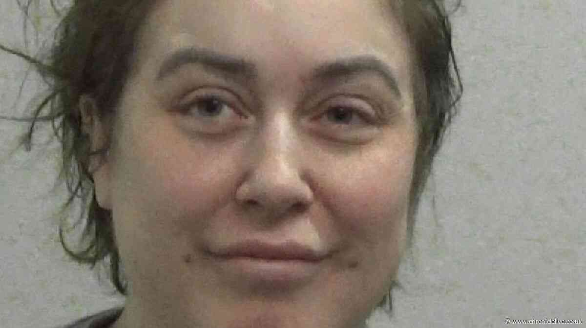Northumberland former accountant attacked her mother with a cat ornament during row