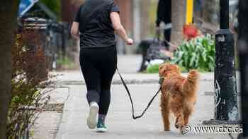 Quebec Court of Appeal hears case on granting tenants the right to have pets