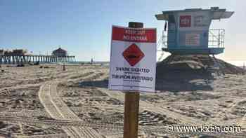 Great white shark's 'aggressive behavior' shuts down California beach