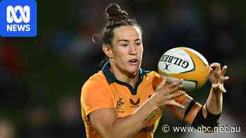 Wallaroos lose star but regain experienced campaigner for Scotland Test