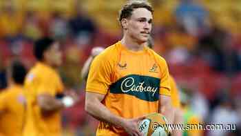 Debutant set for Bledisloe baptism as Wallabies suffer cruel setback