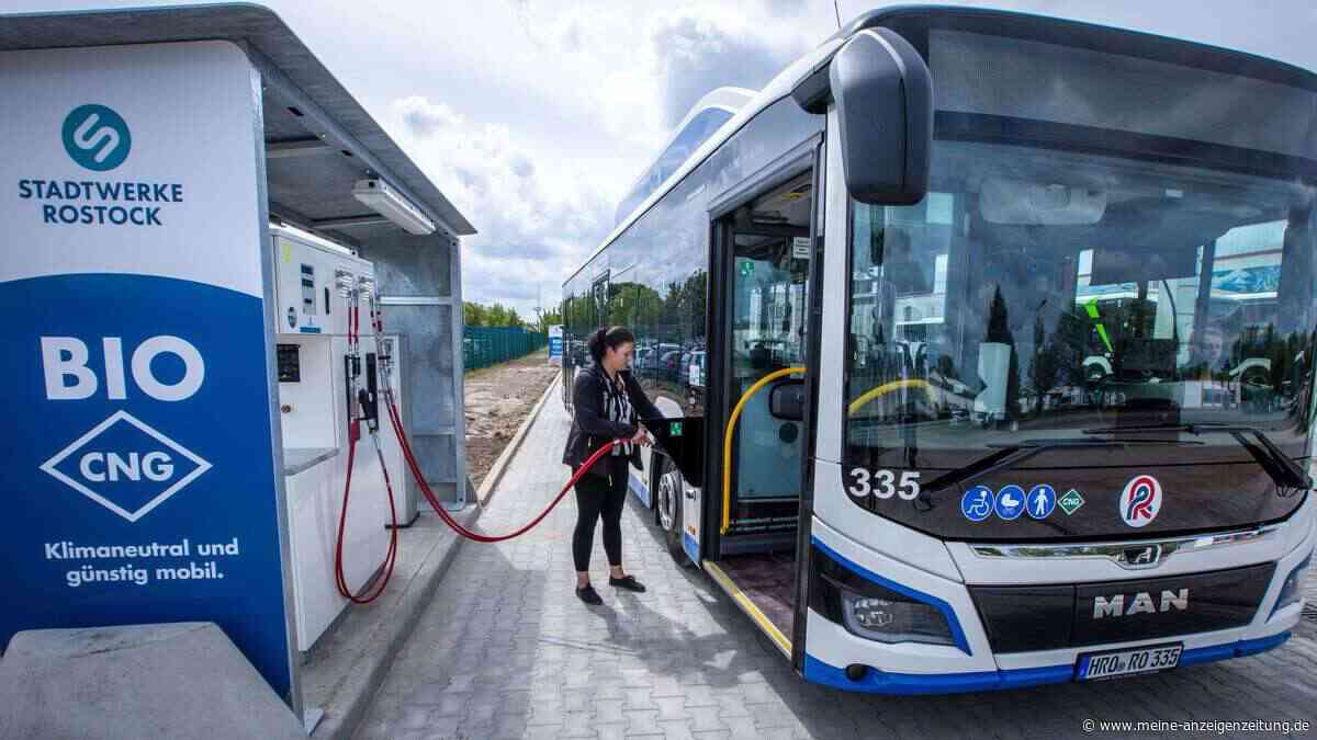 Weniger Geld für E-Busse - Branche warnt vor Folgen