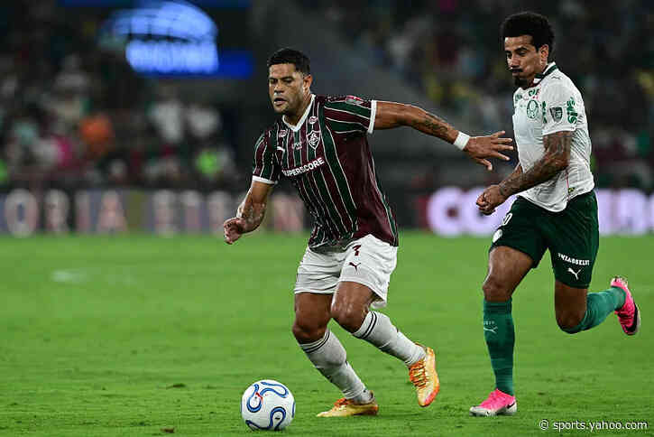 Palmeiras win to edge ahead of Flu in Libertadores semi 🎥