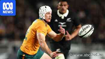Wallabies show faith in rookie fly half for final All Blacks Test
