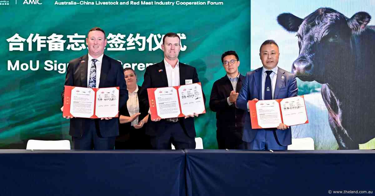Aussie red meat goodwill could pave way for China safeguard tariff leniency