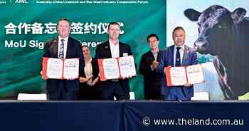 Aussie red meat goodwill could pave way for China safeguard tariff leniency