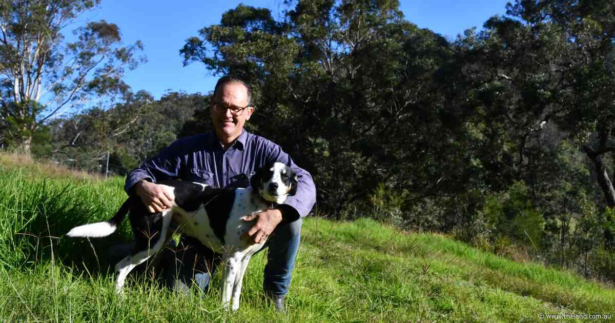 Farmer dealt compulsory acquisition as EnergyCo secures renewable corridor