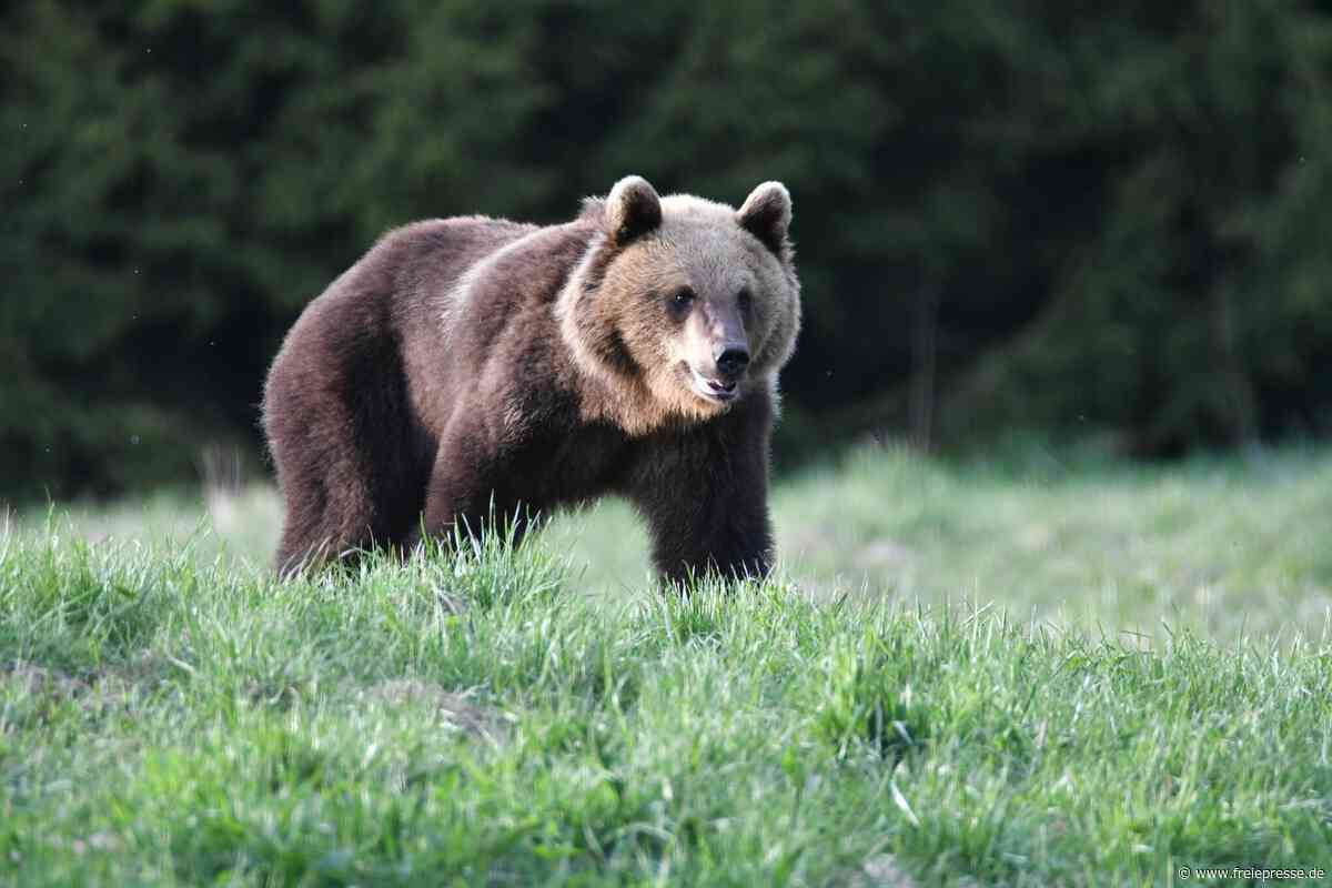 Reisetipp: Estland fasziniert mit Wildnis und Moderne zugleich