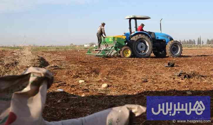 إغراق السوق بالأرز المستورد يهدد محاصيل آلاف الفلاحين بمنطقة الغرب