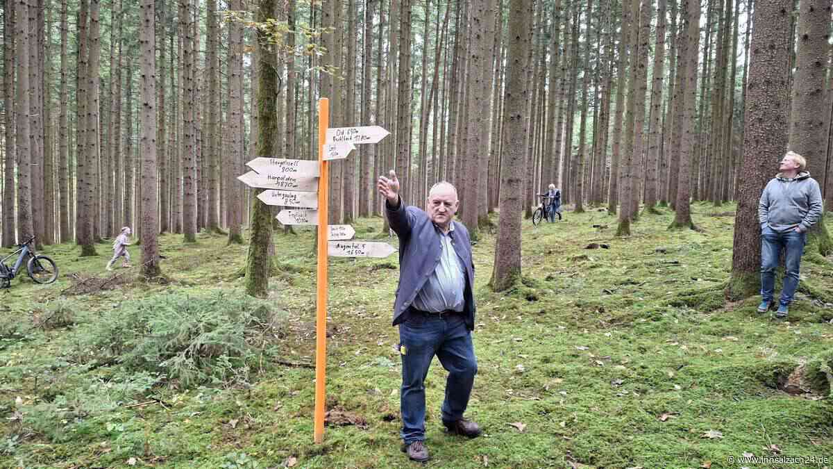 Zoff um Windräder im Fichtenwald: Schönbergs Bürgermeister legt die Pläne der Gemeinde offen