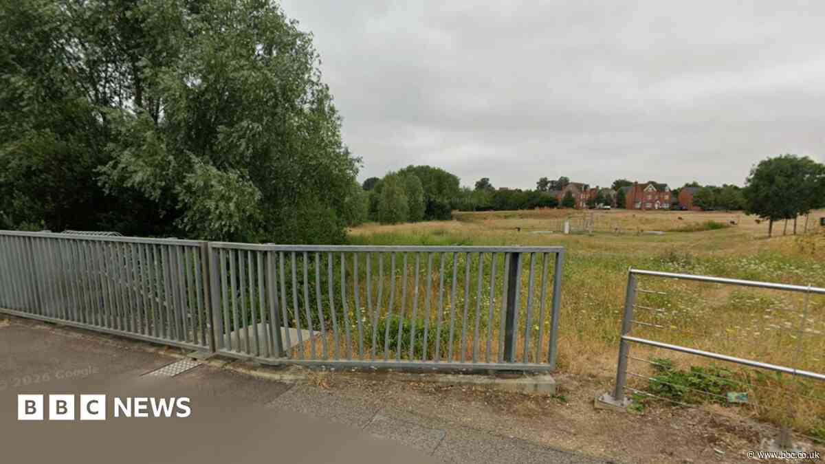 Police investigate rape of girl, 16, in park