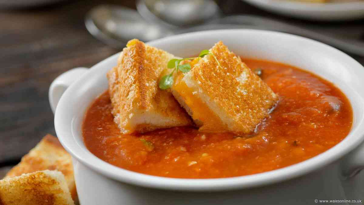 Mary Berry's simple tomato soup recipe is the perfect midweek meal — ready in 10 minutes