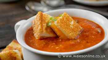 Mary Berry's simple tomato soup recipe is the perfect midweek meal — ready in 10 minutes
