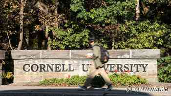 „Frauen zweifeln, ob sie sicher sind“: Cornell reagiert auf Vergewaltigungsvorwurf mit Partyverbot