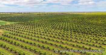Offers of $30 million expected for top Riverland almond and citrus orchards