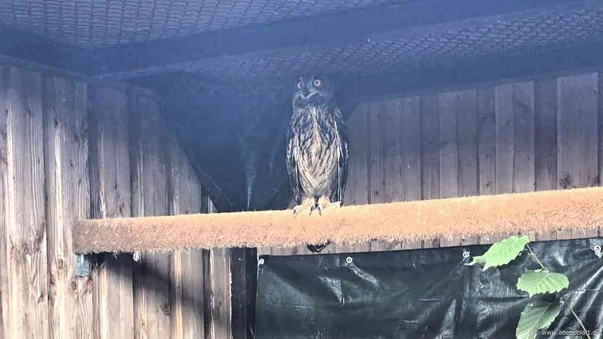 „Horst“ ist wieder sauber und wird auf den Abflug Richtung Freiheit vorbereitet