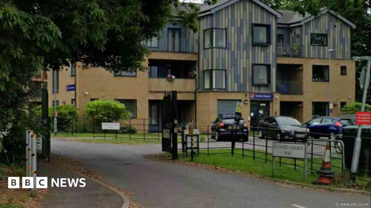 Veteran 'fell between services' before death