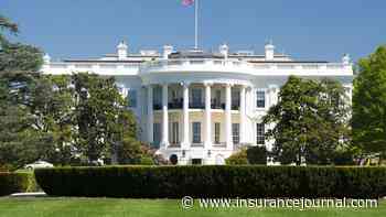 Judge Won’t Block Trump Order Targeting DEI by Federal Contractors