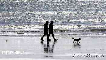 Dogs-on-leads plan for seaside village rejected